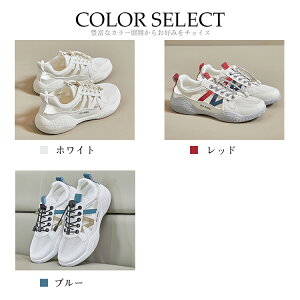 bV Xj[J[ fB[X T_Xj[J[ i  JWA X^CbV Vv R[f f[g ʊw s AEghA ʋ A ItBX NbV tb