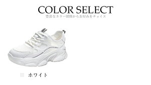  Xj[J[ fB[X T_ w ʊw s AEghA ʋ A ItBX f[g v[g  fUCq[ NbV ɂȂȂ Ȃ  y 