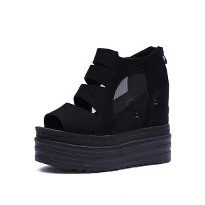 12cmAbv  u[cT_ fB[X  EGbW\[ ̌ I[vgD [X bV V[X[ u[T r r y V[gu[c tbg h q