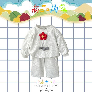 DFn xr[ q xr[ 2_Zbg Ԃ O[ xr[ g[i[ XEFbgpc ԕ [X ̎hJ { zCg DF O[  73 80 90 100 ̎q t H ~ 