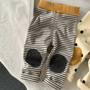 xr[ q q  MX Ԃ j̎q ̎q Y{  {[_[ pc ۈ牀  j  Y{ D 95% LbY ct w ؍ H w  t O[ 