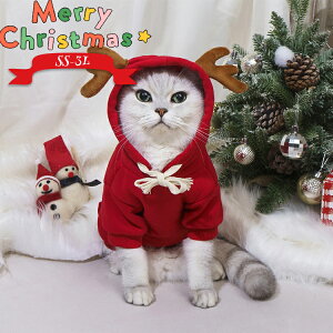 NX}X ybg  NX}XRX`[ ybgEFA lR L  p[J[ t[ht ̊p g gbvX  ybgpi giJC ^ RXv  ߑ JW