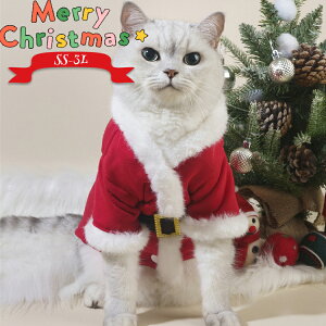 NX}X ybg  NX}XRX`[ ybgEFA T^N[X lR L   p[J[ g gbvX  ybgpi ^ RXv  ߑ JWA