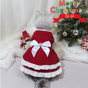 NX}X ybg  NX}XRX`[ ybgEFA T^N[X lR L  s[X tt[X g bh ybgpi ^ RXv  ߑ JW