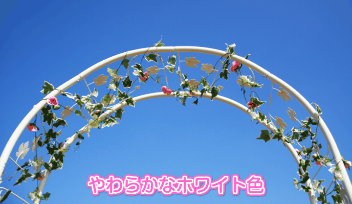 楽天市場】アイアンガーデンアーチ 薔薇アーチ おしゃれ JHG128
