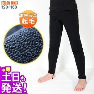 Opc ۉCi[ FELLOW T[tB LbY MX N GA[q[g N EFbgX[c Ci[ EGbg hCi[ Z~hCX[cpCi[ {Ki 20F-WP3