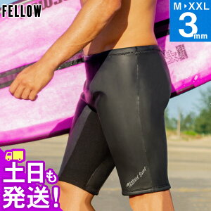 FELLOW EFbgX[c XLn[tpc 3mm Y EFbgpc V[gpc o[ NVbN EGbgX[c T[tB SUP Vm[PO 22F-HP12