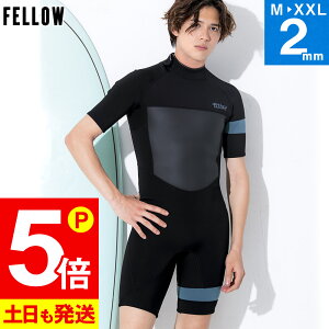 [XSi|Cg5{]FELLOW EFbgX[c XvO 2mm Y  obNWbv W[W EGbgX[c T[tB SUP {fB{[h _CrO Vm[PO 22F-SP11