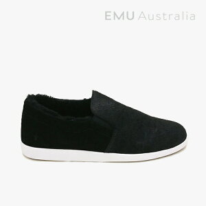 EMUbW Brunswick Animal/ G~[/ uXEBbN Aj}/ubN #