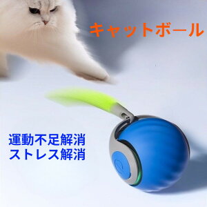 L  {[@̎L炵 S  lV ˂炵 ˂ ybg Lpi XgXU ^s@{[ŃXgXI SƃJ_tbVI