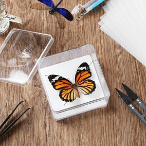 昆虫標本キット 昆虫検体キット 昆虫標本ケース 昆虫標本の作り方 セット 蝶標本ツール 昆虫検体採取 昆虫標本箱 小型 生物学プロジェクト向けの調整可能な標本セット教育用