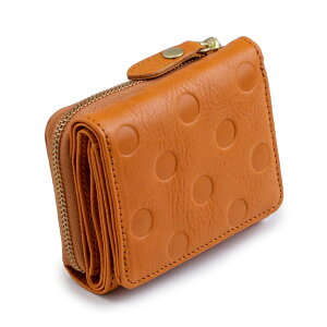 ARCOLO(AR){v O܂z {  z ʁyPHU[ z O܂z fB[X {v RpNg z {v fB[X 킢 O܍z 3܂ y e {v