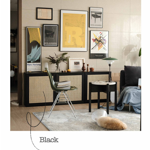ラタン素材で作ったウッドドアです 3種類のカラーで自分だけの空間を演出してみましょう GoBuyKorea単独販売商品です ミスナイロン ケインドア 上品 ブラック Cane IKEA対応 3年保証 Door