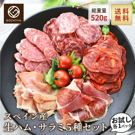 【お試し各1パック】スペイン産生ハム・サラミ5種セット 食べ比べ イベリコ豚 おつまみ セット お取り寄せ 内祝い 誕生日 ギフト 詰め合わせ ワイン 送料無料 クリスマスパーティ ホームパーティー 生ハム チョリソー サラミ ゴチハム