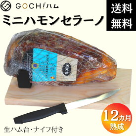 スペイン産 Nico Jamones社 ミニハモンセラーノ原木セット約950g/Hamon Serrano 生ハム ホームパーティ キャンプ飯 クリスマスパーティ【冷蔵】　ミニ原木　生ハム原木