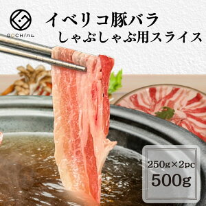 CxR؃o ԂԗpXCX500gyⓀz ؓ o ؂  Ԃ ₵ԃS`n