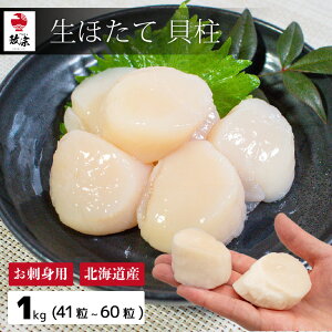 1kgi41`60jkCY ق L yⓀzy݌ɗLz 4S 傫 z^e Ⓚ Iz[cNC hg Kii v[g Mtg@NNn@Ε hg 񂹃O y