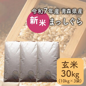 yߘa7NYzV  30kg ܂ XY y퉷zy\񏤕iF10{菇z  ɂ