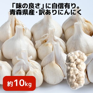 y󂠂zߘa7NY XY ɂɂ Ղ 10kg y퉷z10LO Y I V jjN nzCgZ ʉ Y