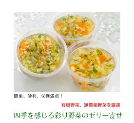 無添加 犬 誕生日 ケーキ ディナーセット 手作り【四季を感じる彩り野菜のゼリー寄せ】ギフト 誕生日 ケーキ おやつ 老犬用 トッピング