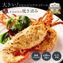 【焼き調理済み！温めるだけ】大きいイセエビテルミドール2食セット 送料無料 えび 伊勢海老 グラタン ベシャメル デ…