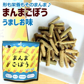 メール便送料無料）まんまごぼう（うましお味35g×2パック）バキュームフライ製法で形も栄養もそのまんま♪