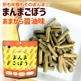 メール便送料無料）まんまごぼう（あまから醤油味35g×2パック）バキュームフライ製法で形も栄養もそのまんま♪
