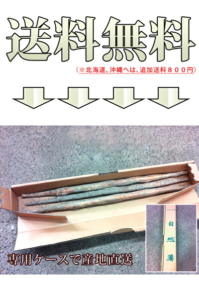 自然薯(じねんじょ)【山芋】【送料無料】産地直送、自然生、山菜、野菜、山薬