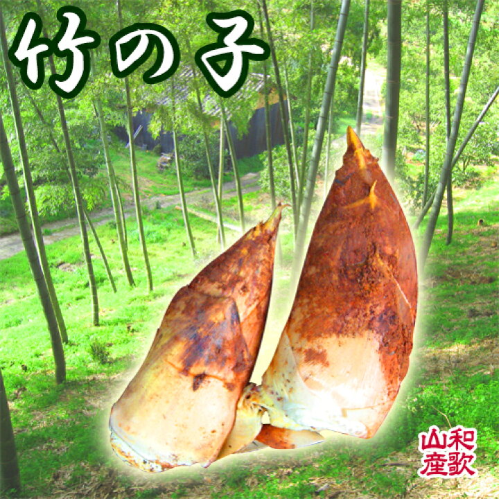 楽天市場】たけのこ（筍） 2kg 【朝掘り】産地直送、竹の子、掘りたて 