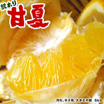 あまなつ5kg(甘夏)送料無料、わかやま産あまなつ、有田みかんの里で知られる和歌山県産あまなつ。初夏のフルーツ甘夏を産地直送、あまなつ送料込みで訳あり特価。新鮮あまなつ、スイーツ甘夏。さわやかな甘味の甘夏、フレッシュ柑橘の甘夏