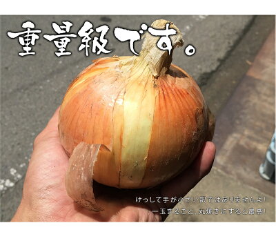 特別栽培たまねぎ【送料無料】【訳あり】サイズ不揃い和歌山県産業務用野菜