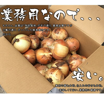 特別栽培たまねぎ【送料無料】【訳あり】サイズ不揃い和歌山県産業務用野菜