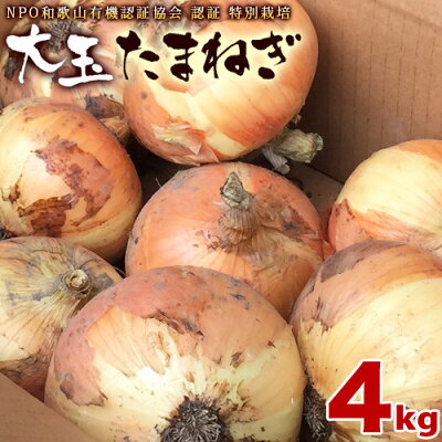 特別栽培たまねぎ【送料無料】【訳あり】サイズ不揃い和歌山県産業務用野菜