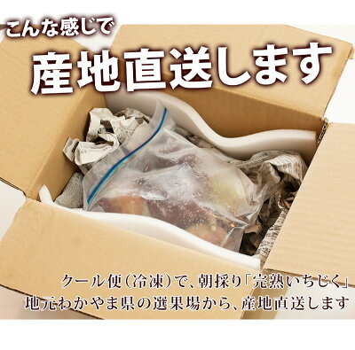 いちじく冷凍500g完熟イチジク訳あり和歌山無花果生食いちじく無添加いちじく食べ方いちじくジャムレシピ公開中お取り寄せ小分けクール贈り物プレゼントお中元果物フルーツ手土産