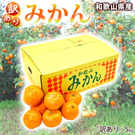 みかん 5kg 和歌山県産【訳あり】 【送料無料】 ご自宅用柑橘蜜柑ミカン産地直送【smtb-k】【ky】