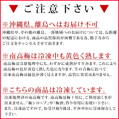 冷凍南高(なんこう)冷凍梅業務用うめウメ梅酒梅シロップ紀州南高梅