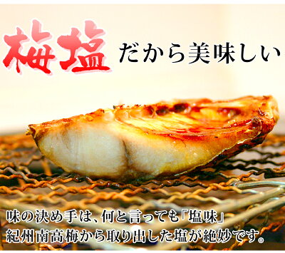 魚介加工品干物セット送料無料真アジカマスイサキキスタチウオ