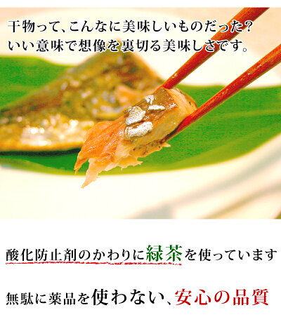 魚介加工品干物セット送料無料真アジカマスイサキキスタチウオ