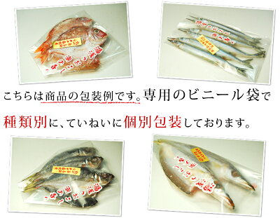 魚介加工品干物セット送料無料真アジカマスイサキキスタチウオ