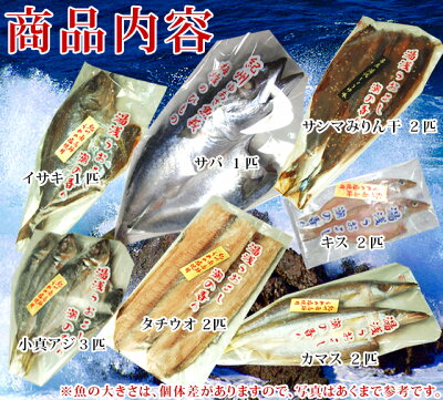 魚介加工品干物セット送料無料真アジカマスイサキキスタチウオ