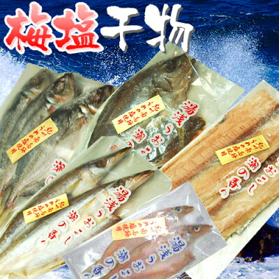 魚介加工品干物セット送料無料真アジカマスイサキキスタチウオ