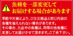 魚介加工品干物セット送料無料真アジカマスイサキキスタチウオ