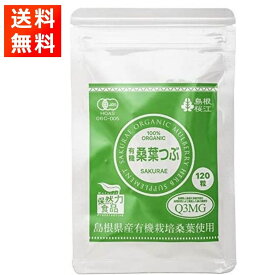 【優良ショップ連続受賞！(2024年2・3月)】有機桑葉つぶ 200mg×120粒入 国産オーガニック サプリメント 桑の葉