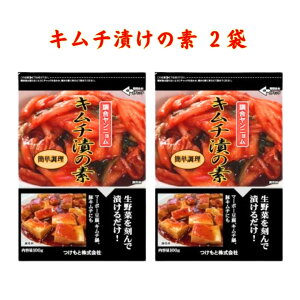  L`Ђ̑f 100g×2 L` ^Cv L`̑f