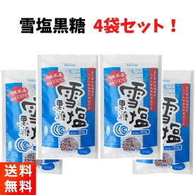 【GW期間も元気に営業中！】雪塩黒糖 沖縄 黒糖 菓子 120g×4袋 黒糖本舗垣乃花