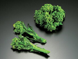 楽天市場 菜の花 野菜 きのこ 食品 の通販