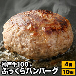 4 or 8+2 _ˋ100% ӂno[O _ˋ Ɍ _ no[O no[O no[K[ An ~ Ya a Y Y ` Ⓚ y  Mtg {i ⓀH