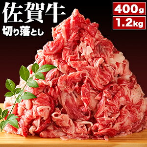 400g or 1.2kg(800g+400g) A4ꋍ؂藎Ƃ ꋍ јa A4 A5N  uha  Y Ă Ԃ  ؂藎Ƃ Ԑg ~ ϔ RXp Mtg 蕨 v
