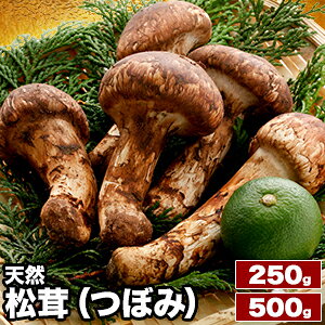 250g or 500g VR(ڂ)  ܂ }c^P VR  VR H̖o  H { R̍K ̂ LmR ڂ yr aH ⓀHi RXp Mtg i 蕨 