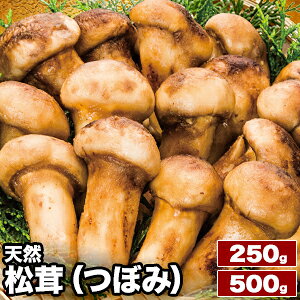 250g or 500g VR(ڂ)  ܂ }c^P VR  VR H̖o  H { R̍K ̂ LmR ڂ yr aH ⓀHi RXp Mtg i 蕨 